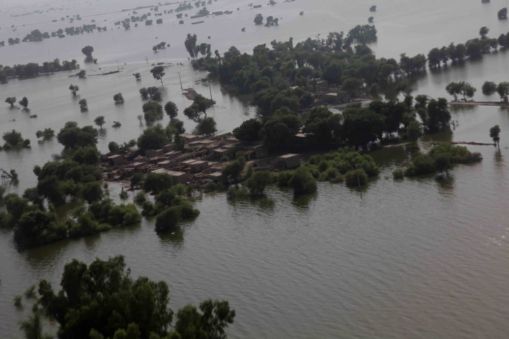 Pakistan Disaster Relief