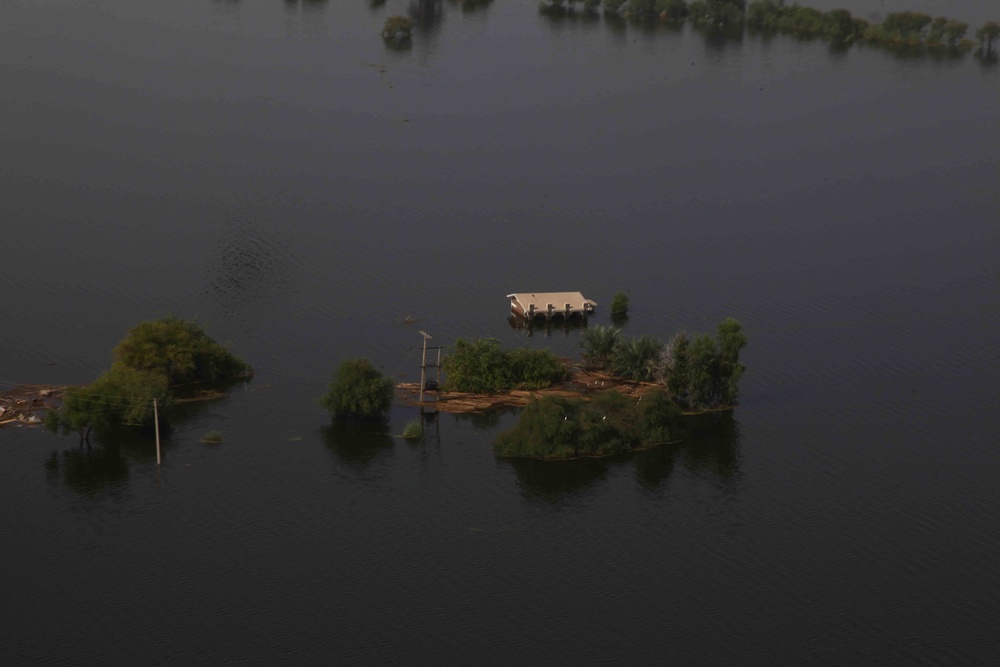 Pakistan Disaster Relief