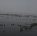 Pakistan Disaster Relief