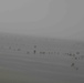 Pakistan Disaster Relief