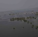 Pakistan Disaster Relief