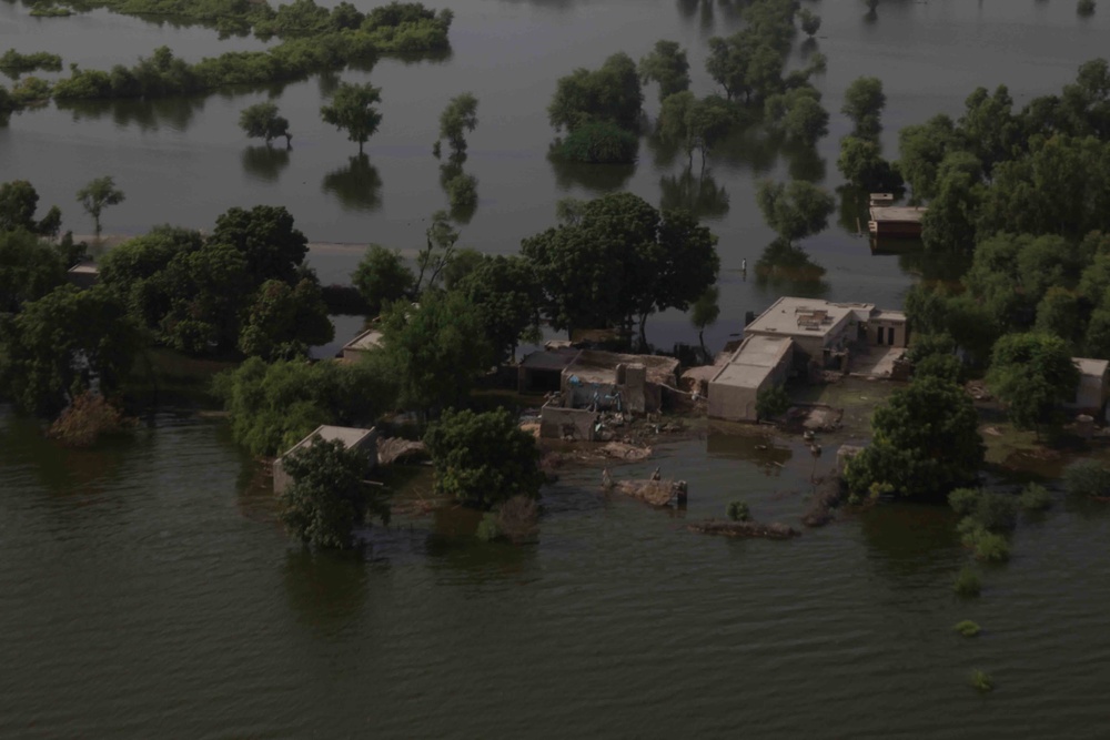 Pakistan Disaster Relief