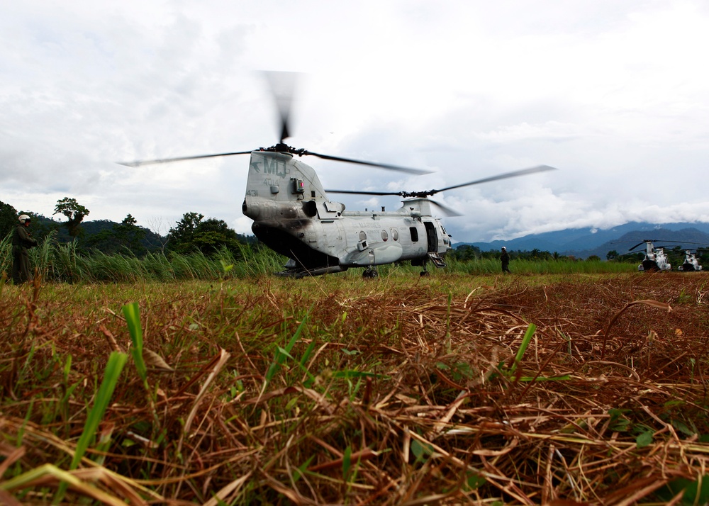 Operation Continuing Promise 2010