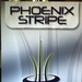 AMC Finishes Phoenix Stripe Leadership Conference