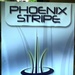 AMC Finishes Phoenix Stripe Leadership Conference