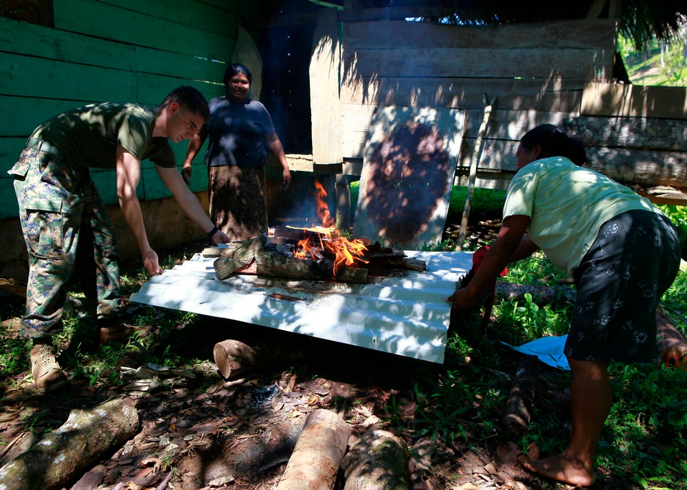 Operation Continuing Promise 2010