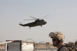 HMLA-369, Sea Kings Support ISAF