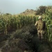 3/12 Marines Maintain Security for Kajaki Dam