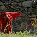 Task Force Denali Images From Kohistan Valley