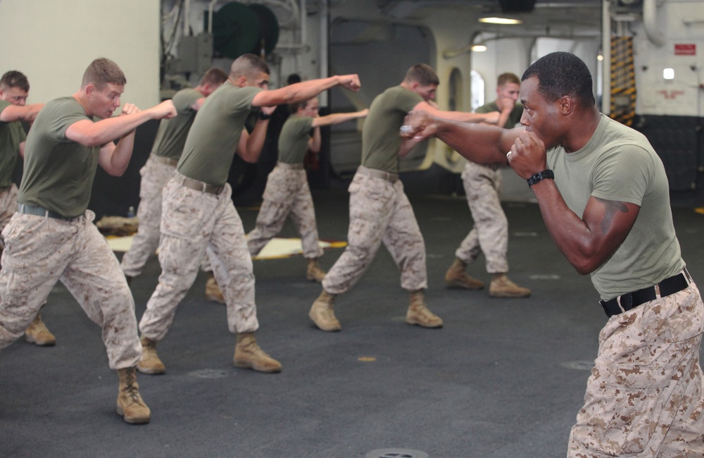 2010 Fleet Week