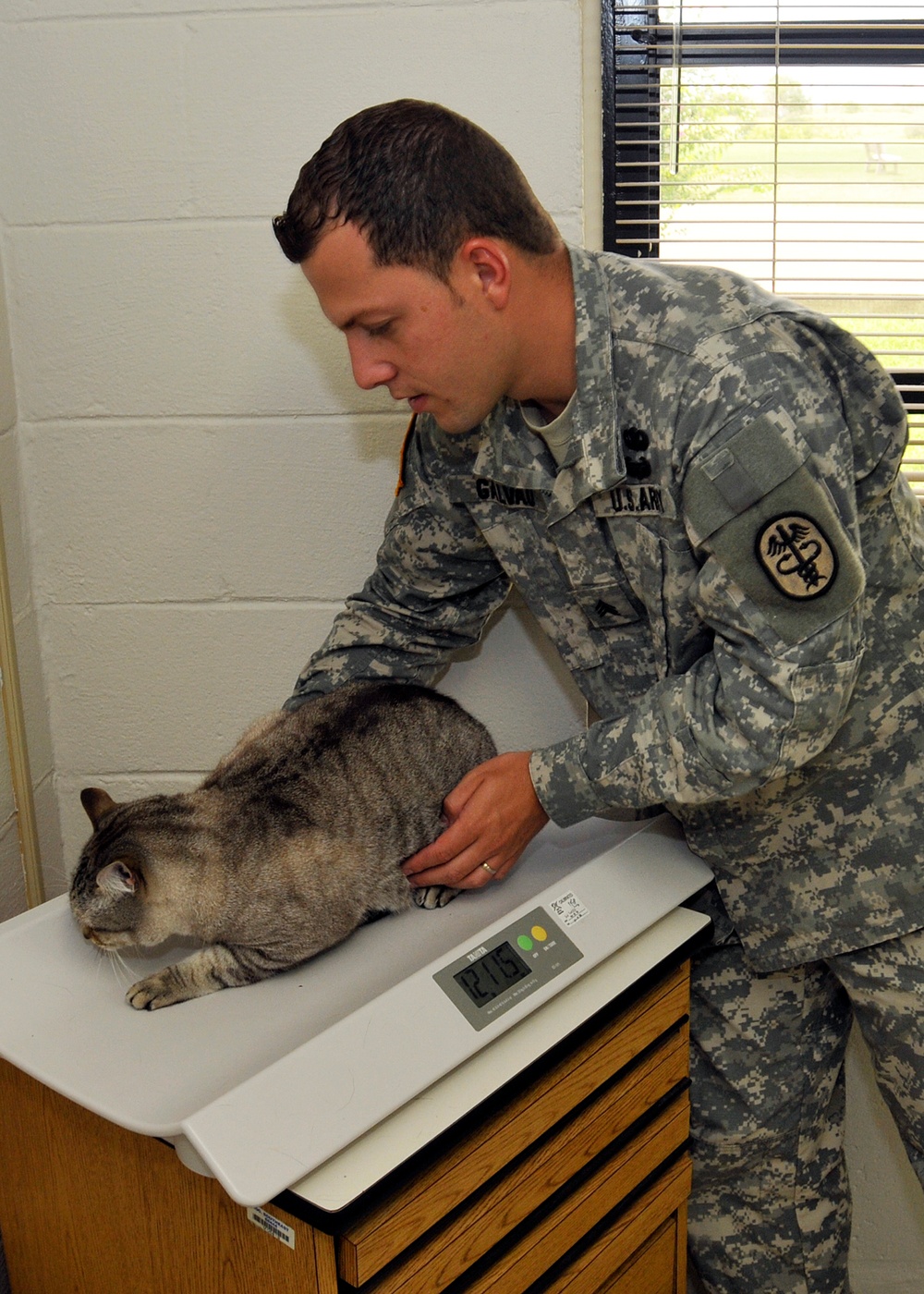 GTMO Vet Clinic Weigh in