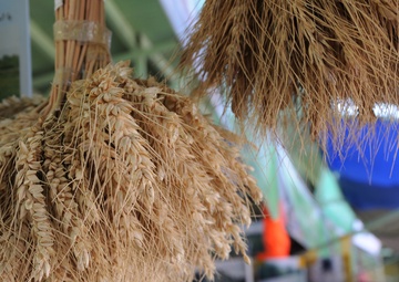 Fourth International AgFair Held in Kabul, Afghanistan