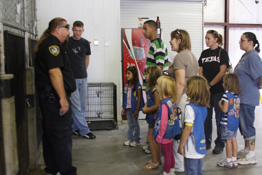 Daisies Grab a Paw in Need at Animal Shelter