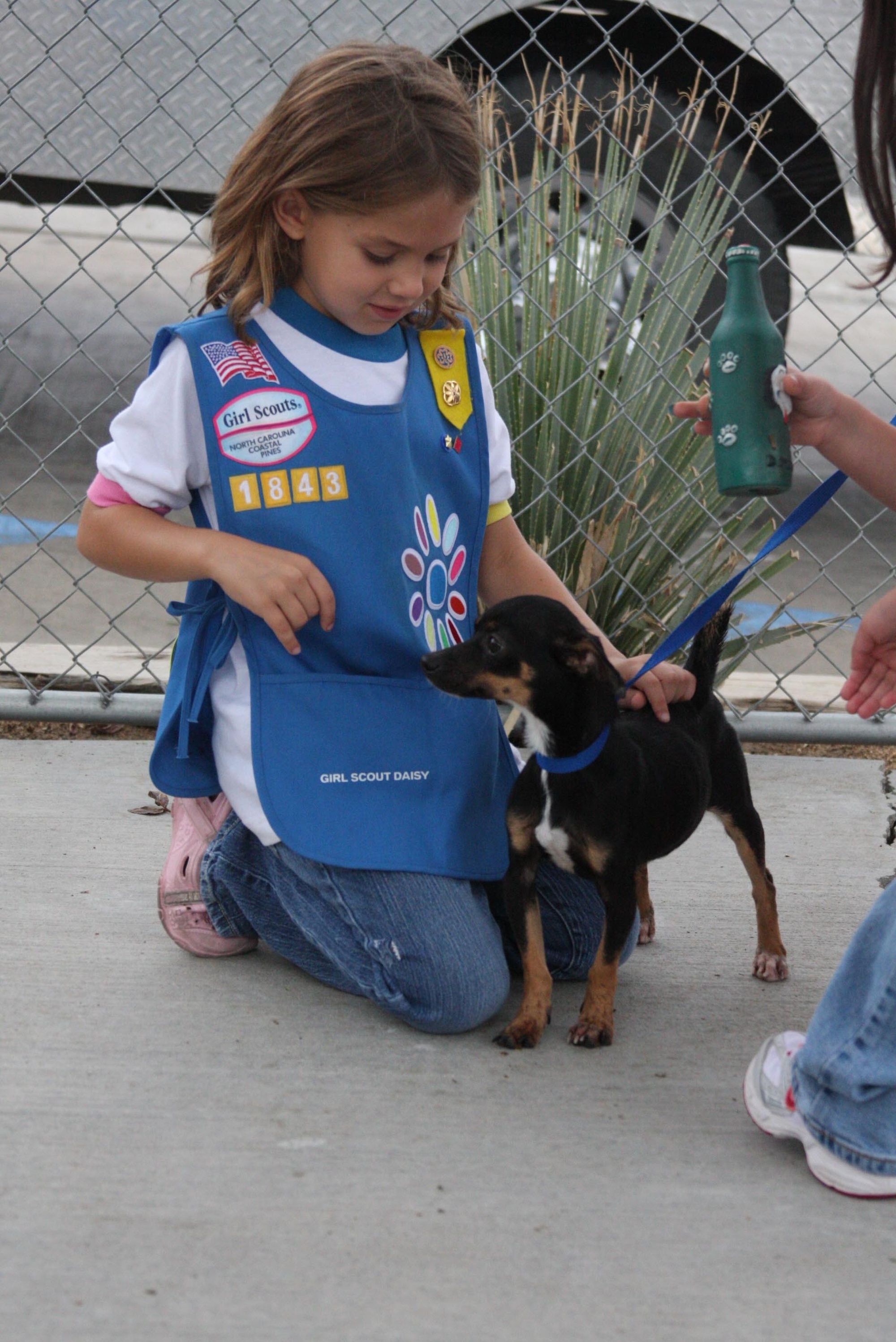 Palms n paws animal hot sale shelter