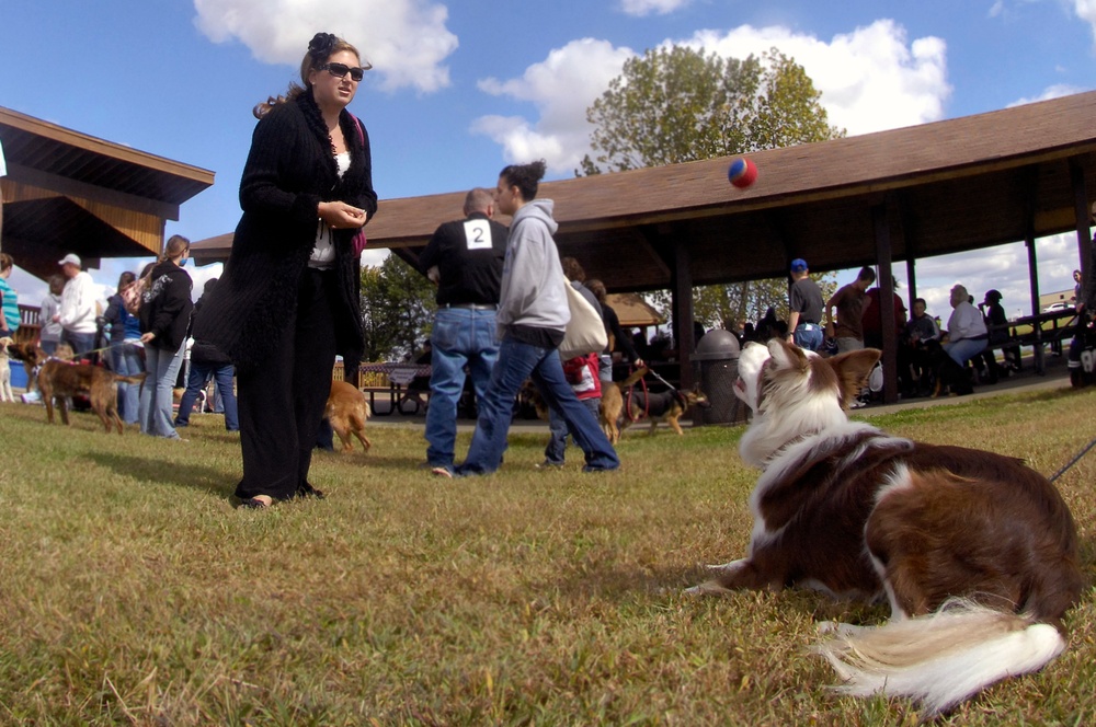 Whiteman CAC, Vet Clinic host 2010 Bark in the Park