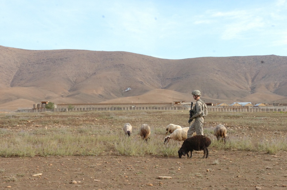 Operation Enduring Freedom