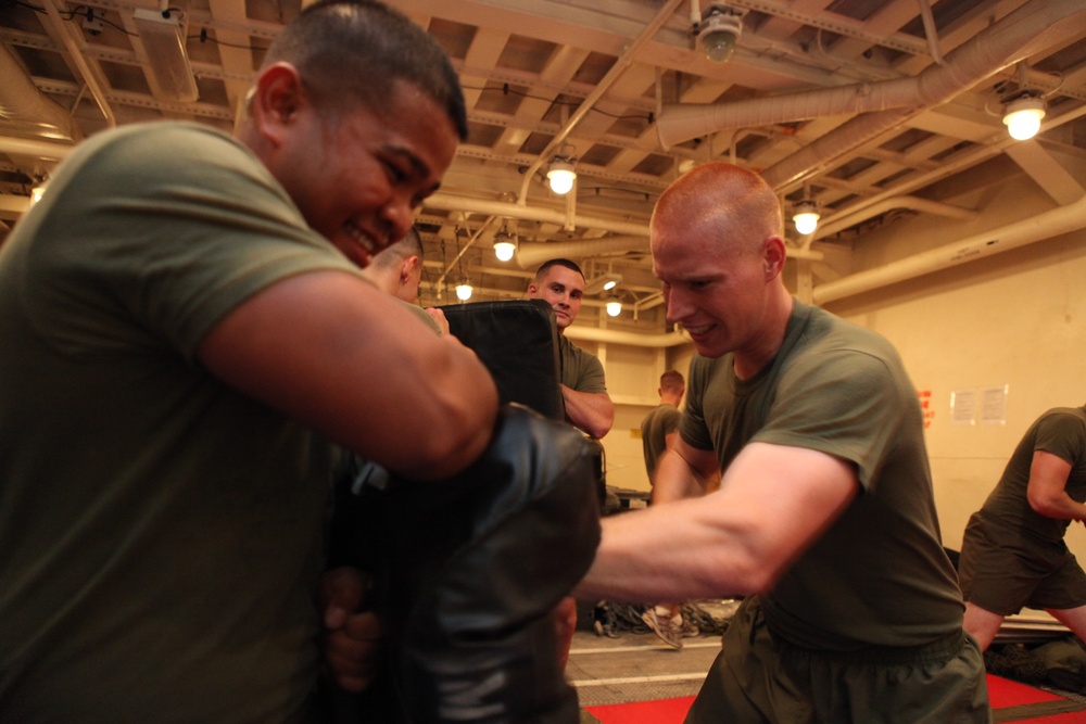 Dojo Physical Training