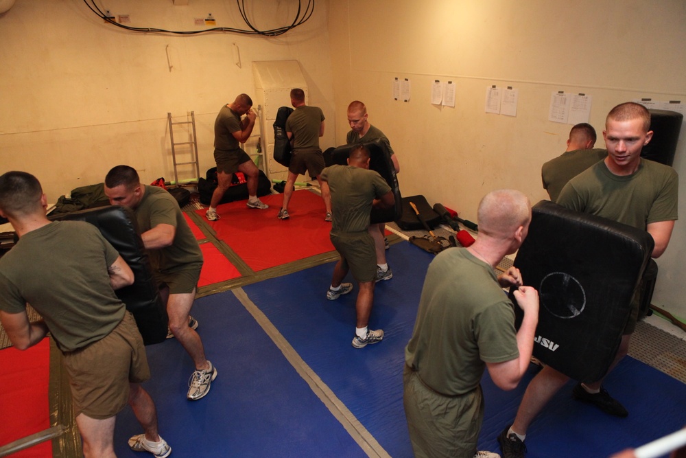 Dojo Physical Training