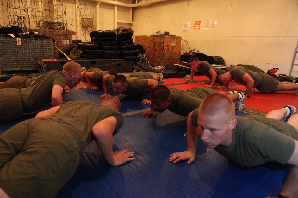 Dojo Physical Training