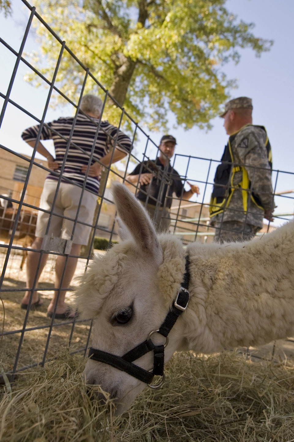 Indiana National Guard Premier Training Site hosts 2nd Open House