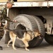 Transit Center congratulates Border Patrol unit on 5th anniversary