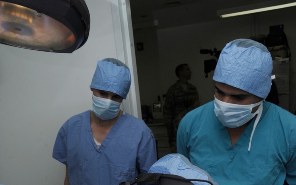 US Army veterinarians train host-nation veterinarians on small animal medicine