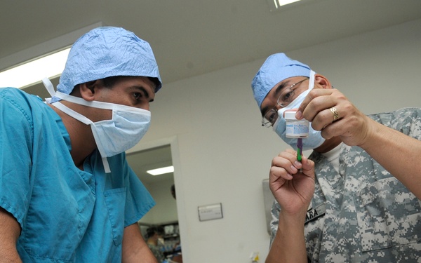 US Army veterinarians train host-nation veterinarians on small animal medicine