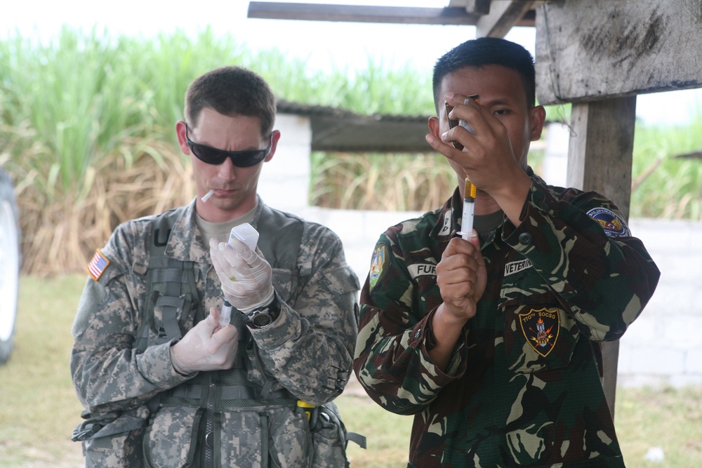 AFP, US Military Veterinarians Help Pets, Livestock