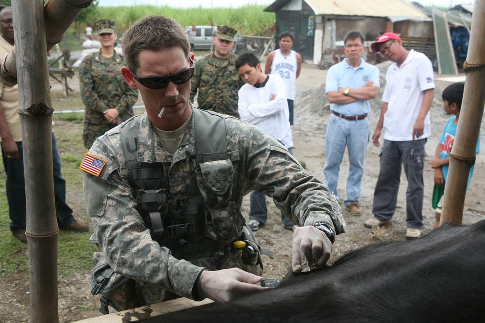 AFP, US Military Veterinarians Help Pets, Livestock