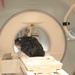 NHCL Unveils New, Improved MRI Unit