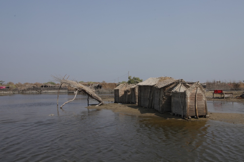 Pakistan Disaster Relief