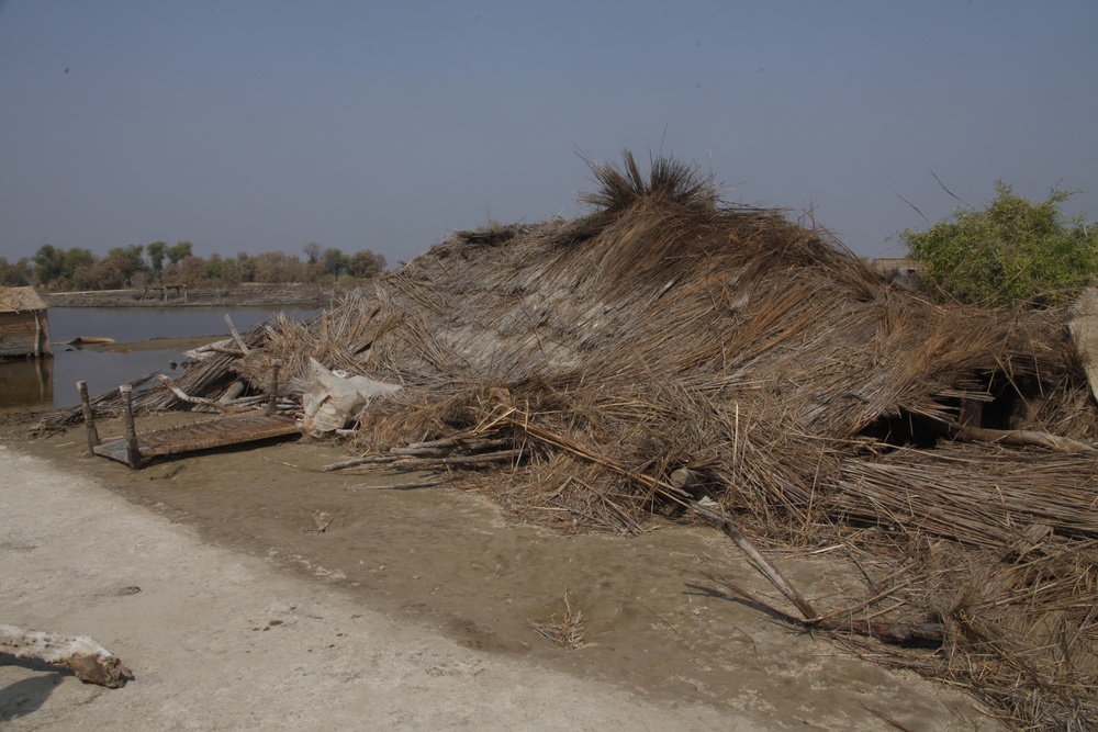 Pakistan Disaster Relief