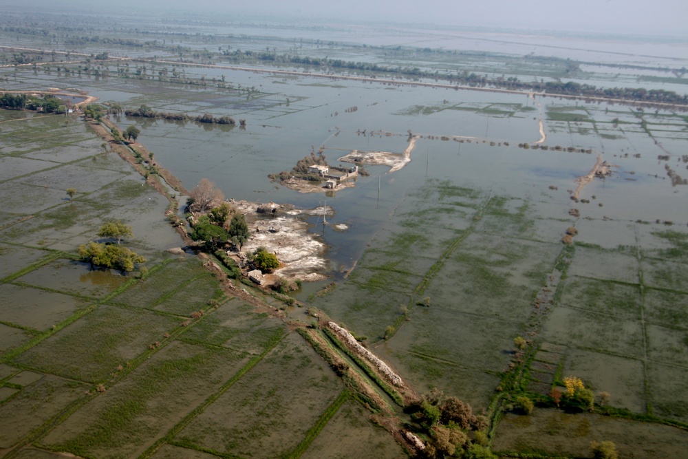 Pakistan Disaster Relief