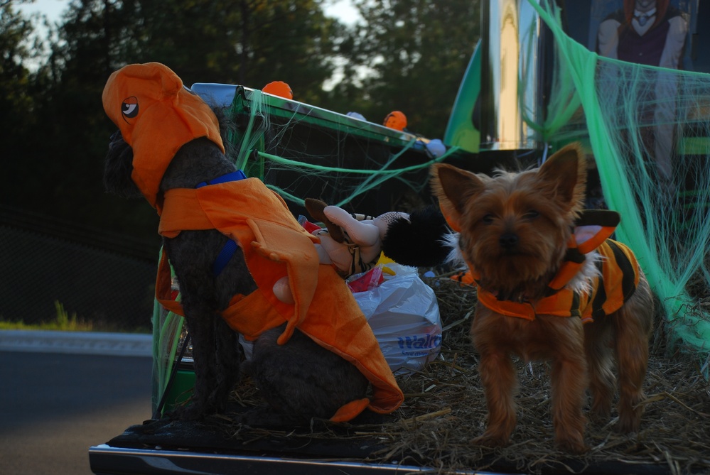 3rd Special Forces Group Hosts 2nd Annual Harvest Festival