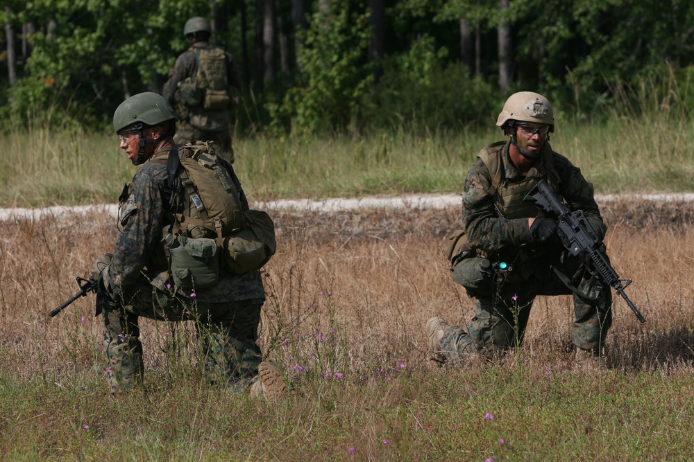 Individual Training Course - Weapons and Tactics