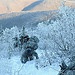 Mountain Warfare training
