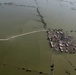 Pakistan Disaster Relief