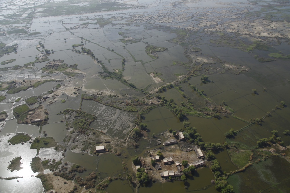 Pakistan Disaster Relief