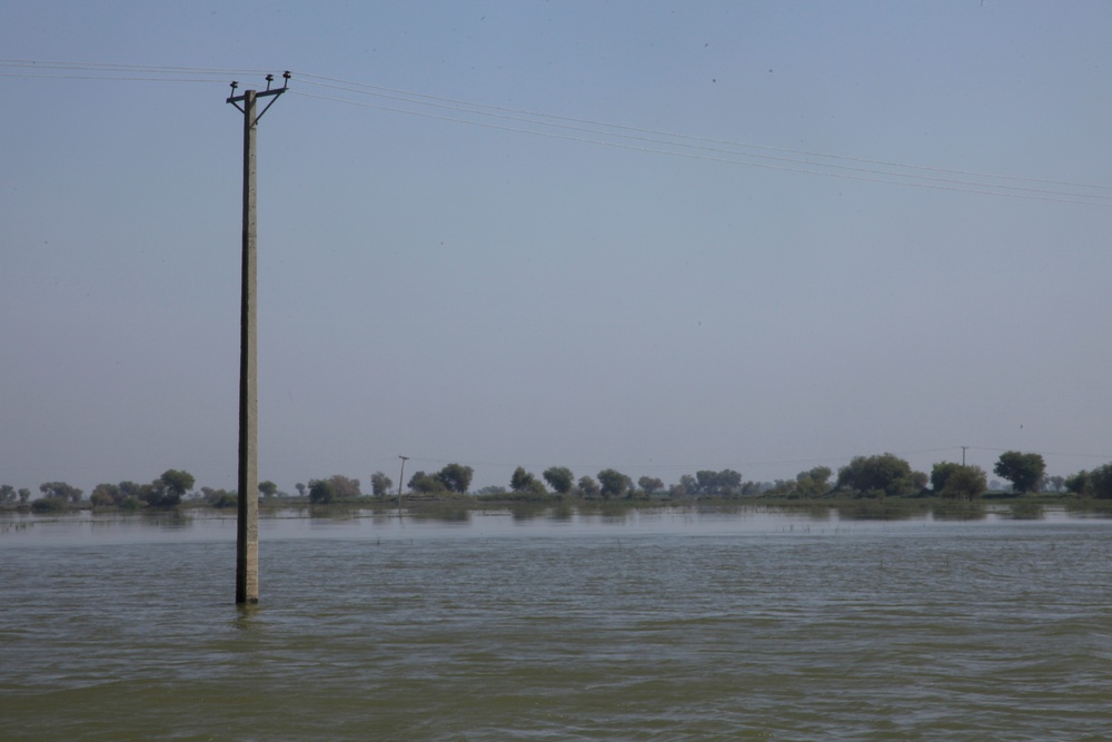 Pakistan Disaster Relief