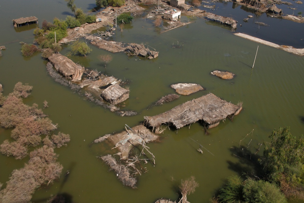 Pakistan Disaster Relief