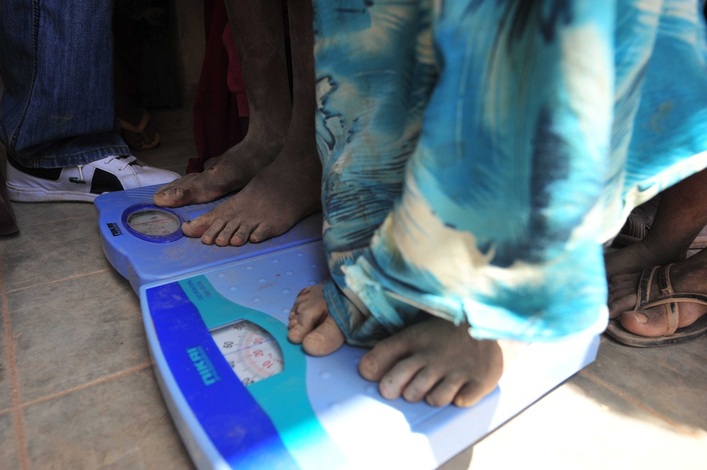 Return to Shinile: Nursing Students and U.S. Army Functional Specialty Team Distribute Medications