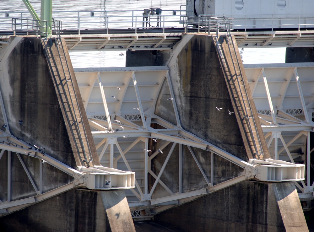 Fort Loudoun Lock