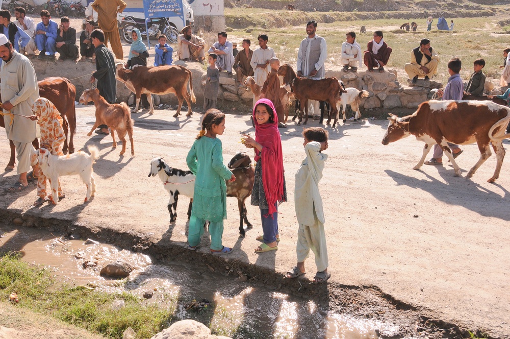 Kunar veterinarians provide free services to Marawara District