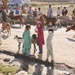 Kunar veterinarians provide free services to Marawara District
