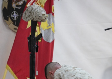 1st Marine Division (Forward) memorializes fallen brother