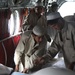 Pakistan Humanitarian Aid