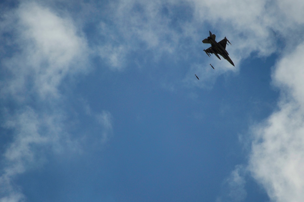 Falcon Air Meet 2010