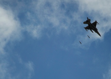 Falcon Air Meet 2010