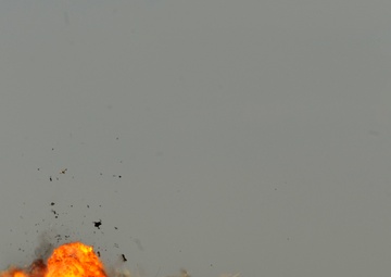 Falcon Air Meet 2010