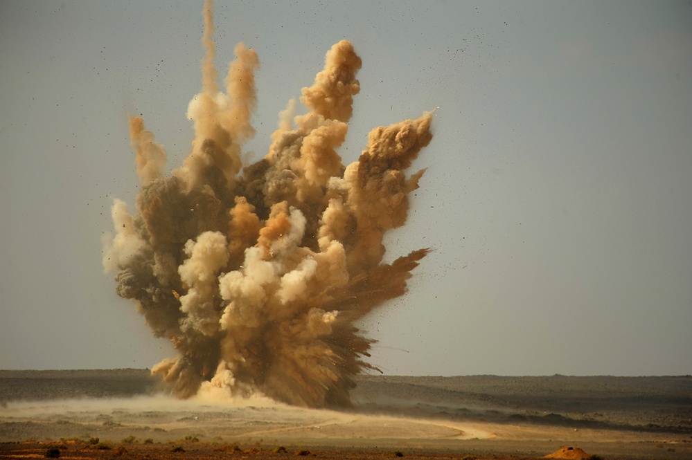 Falcon Air Meet 2010